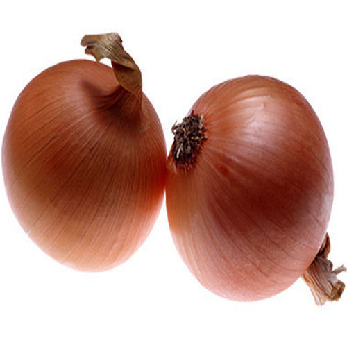 Round & Oval Excellent Quality Natural Taste Healthy Fresh Dark Brown Onion