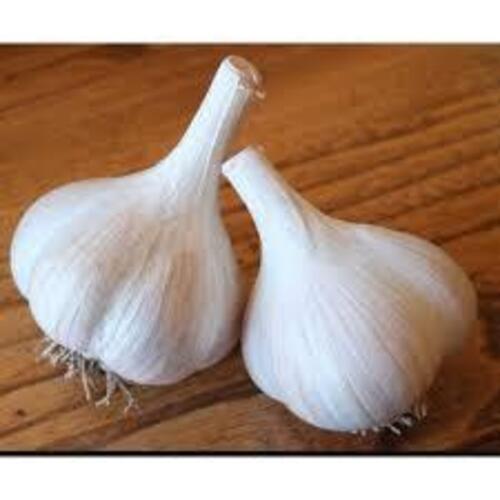 Fine Natural Taste No preservatives Healthy White Garlic Bulbs