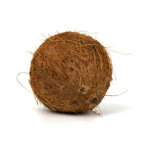 Fresh Matured Brown Coconut - Standard Size, Whole Husk | Natural Taste, Non Harmful, High Nutritional Value, Shelf Life 15-20 Days, Best Stored in Cool and Dry Place