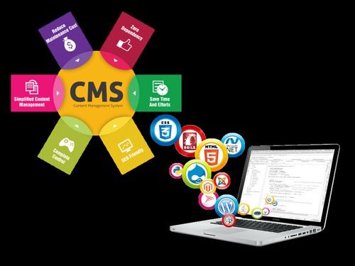 CMS Website Development Services