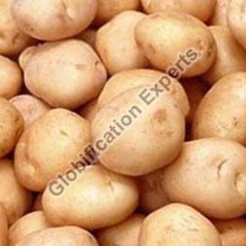 Round & Oval Dietary Fiber 24% High Quality Good Taste Brown Fresh Kufri Sindhuri Potato