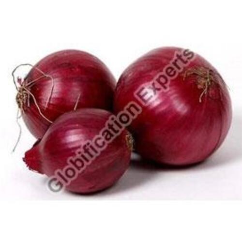 Round & Oval Excllent Quality Natural Taste Organic Banglore Rose Onion 