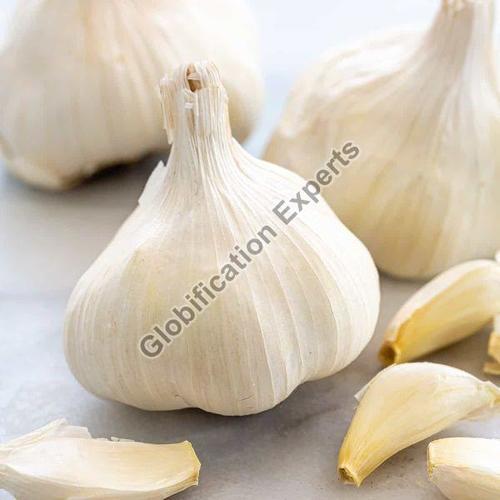 Gluten Free Natural Taste Organic White G50 Fresh Garlic