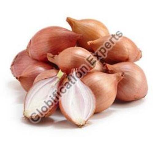 Hygienic High Quality Natural Taste Organic Fresh Shallots Onion