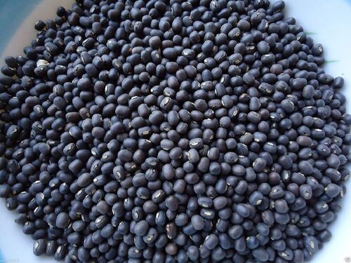 Natural Fresh Black Mung Beans for Cooking