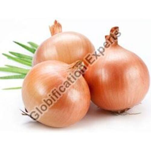 No Artificial Flavour Hygienically Packed Organic Fresh Agrifound Light Red Onion 