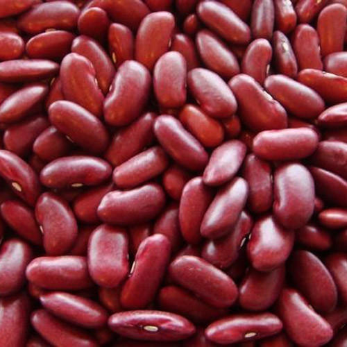 Organic Red Kidney Beans for Cooking