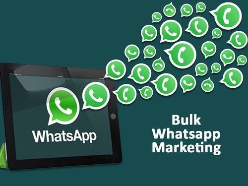 Whatsapp Marketing Services