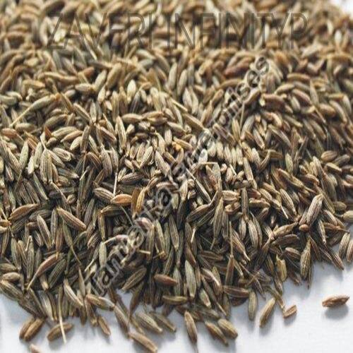 Aromatic Odour Natural Taste Organic Brown Gulf Quality Cumin Seeds