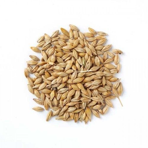 Carbohydrates 45grams Protein 7grams Energy 352kcal High In Protein Natural Taste Dried Brown Barley Seeds