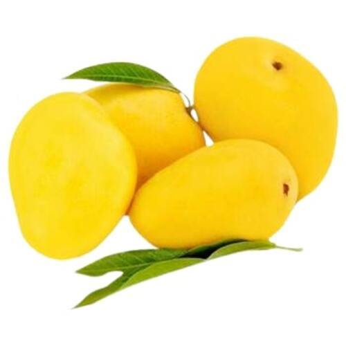 Delicious Sweet Taste Healthy Organic Yellow Fresh Mango