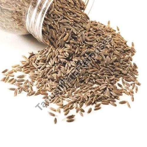 Excellent Quality Natural Taste Organic Brown European Quality Cumin Seeds Grade: Food Grade