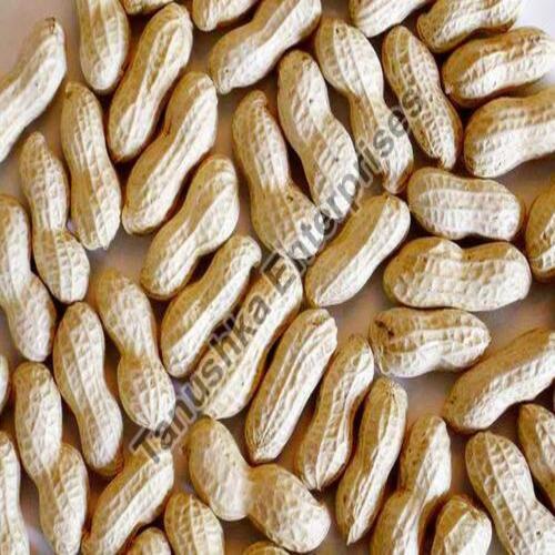 High Quality Good Natural Fine Taste Healthy Shelled Peanuts