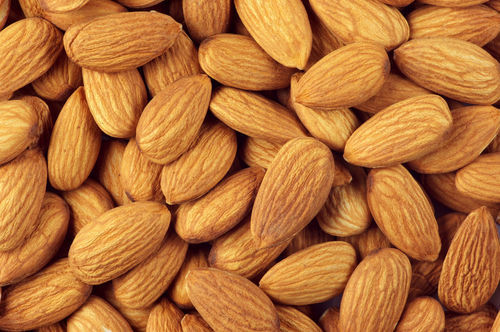Indian Origin High Nutritious Almond Kernel