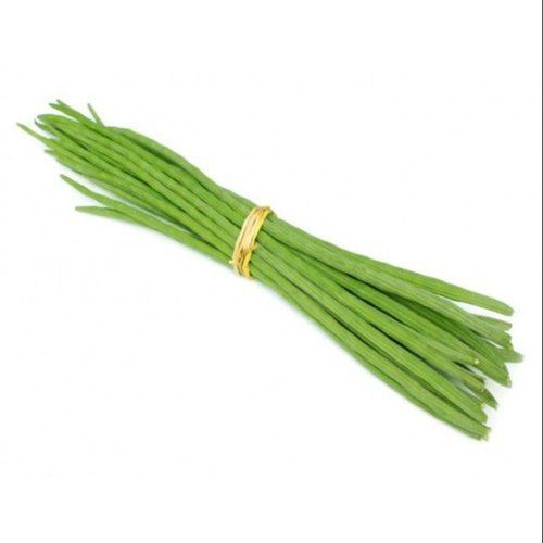 Excellent Quality Floury Texture Natural Healthy Green Fresh Drumsticks