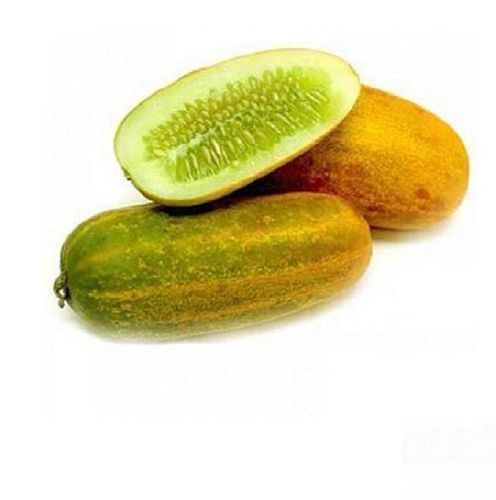 Protein 650mg Potassium 147mg Fine Natural Taste Healthy Green Fresh Vellary Cucumber