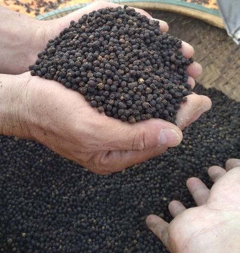 Natural Round Shape Black Pepper Grade: A