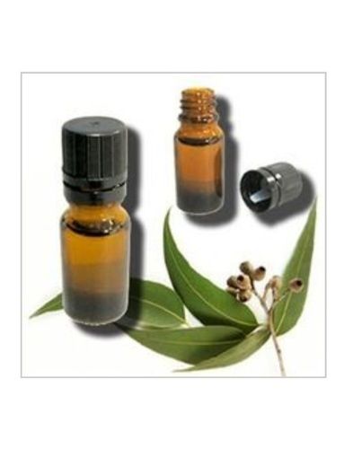 100% Natural and Pure Eucalyptus Essential Oil