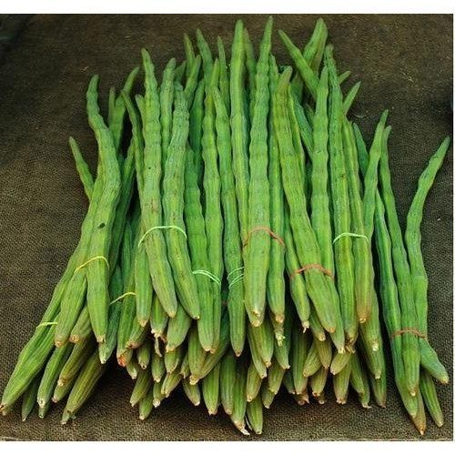 Floury Texture Natural Taste Healthy Green Fresh Drumsticks