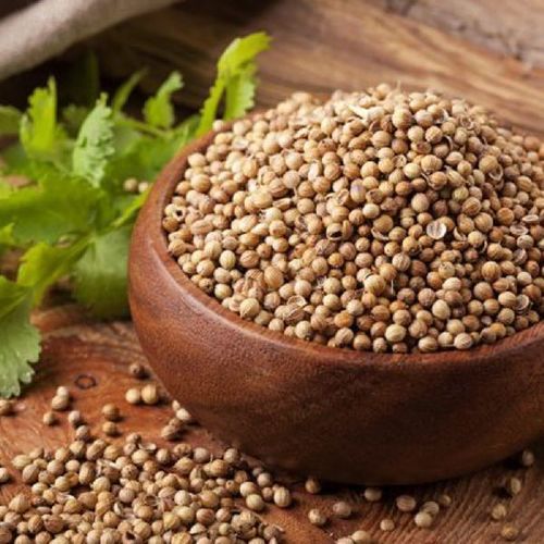 Immature Seed 2% Pure Natural Rich Taste Long Shelf Life Dried Coriander Seeds Grade: Food Grade