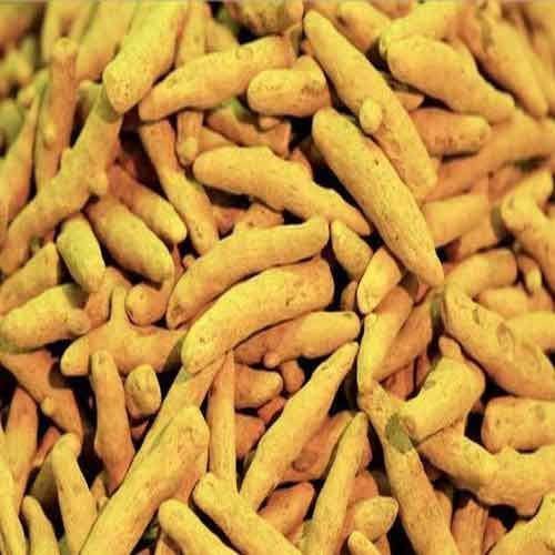 Natural Fresh Turmeric Finger for Cooking