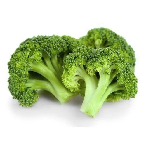 Natural Taste Healthy To Eat Green Fresh Broccoli