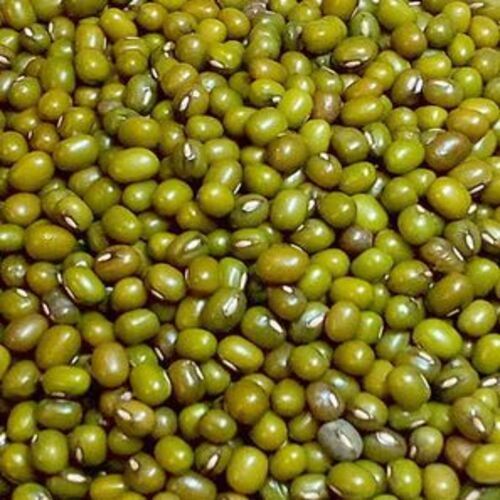 Protein 24G Organic Natural Taste Healthy Dried Green Mung Beans Grain Size: Standard