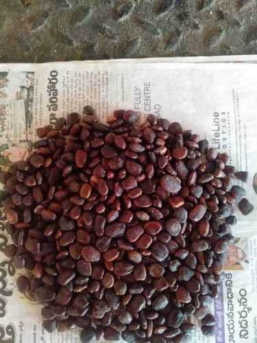 Dark Brown Color Tamarind Seed