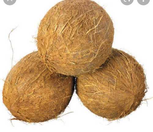 Brown Fully Husked Raw Coconut 