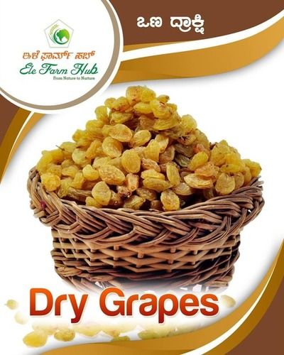 Organic High Fiber Sweet Golden Whole Dried Grapes Raisin