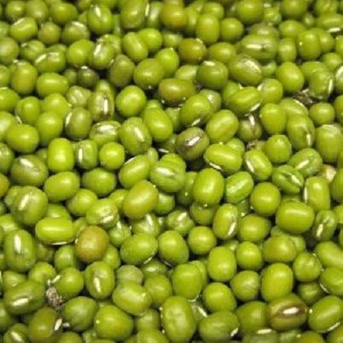  खाना पकाने के लिए प्राकृतिक ताजा हरा मूंग बीन्स
