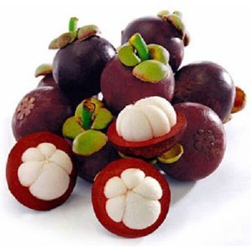 Natural Fresh Mangosteen Fruits