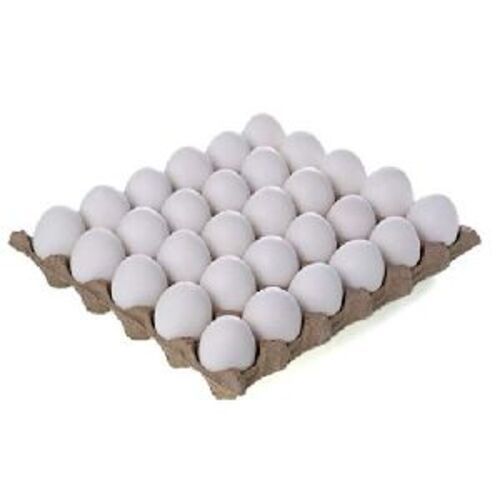 Natural White Fresh Eggs for Cooking