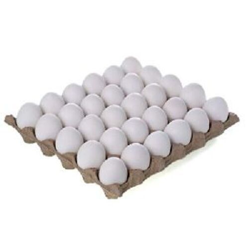 Natural White Fresh Eggs For Cooking Egg Origin: Chicken