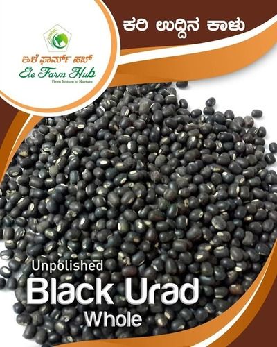 Unpolished Dried Whole Black Urad Pulses