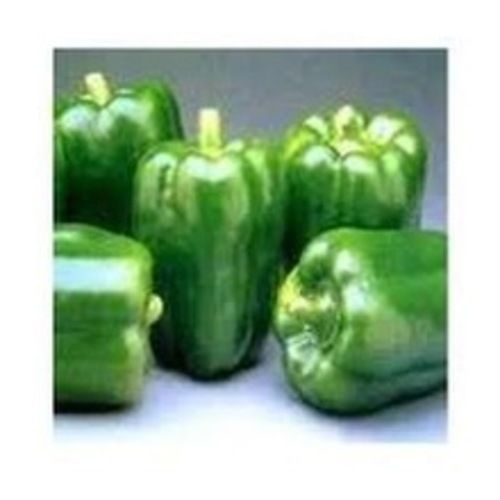 High Quality Fine Natural Taste Healthy Fresh Green Capsicum