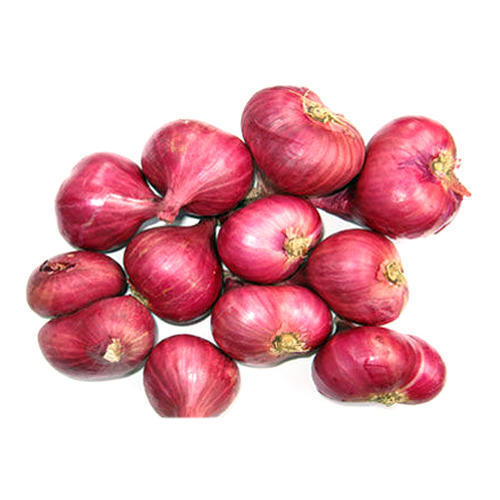 No Artificial Flavour Hygienically Packed Organic Fresh Small Red Onion