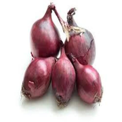 No Preservatives Hygienically Packed Organic Fresh Medium Red Onion