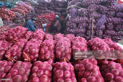 100% Fresh and Natural Red Onion