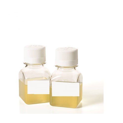 Fetal Bovine Serum 500 Ml