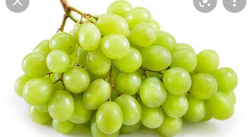 Light Green Fresh Grapes