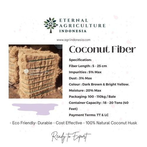 Eco Friendly And Durable Coconut Fiber