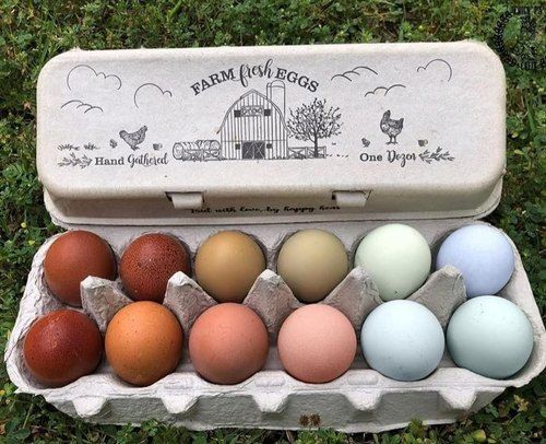 Fine Finish Vintage Egg Cartons