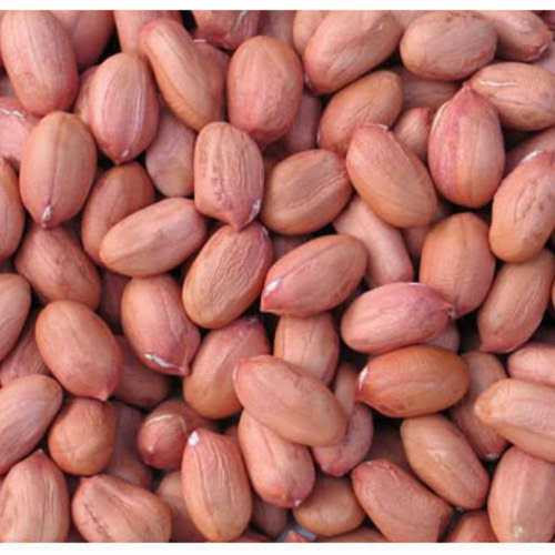 Groundnut Seeds Used In Cooking, Medicinal