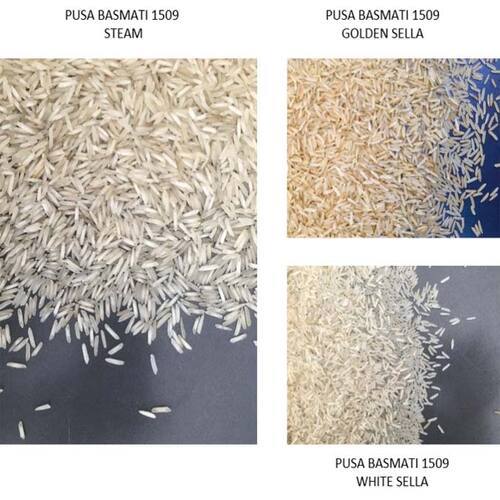 High In Protein Natural Taste Healthy Dried 1509 Basmati Rice