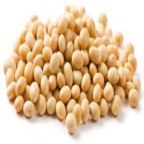 High Nutritional Value Natural Taste Healthy Dried Organic Soybean Seeds Grade: Food Grade