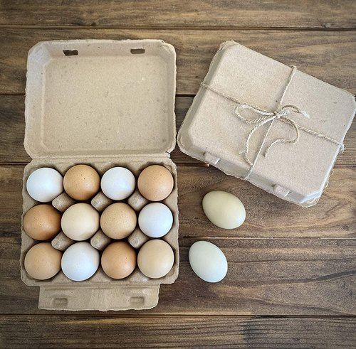 Paper Light Weight Vintage Duck Egg Cartons