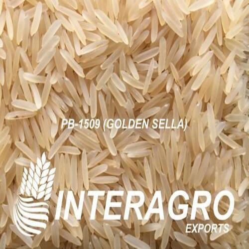 Moisture 10% Natural Taste Medium Grain Dried Golden Sella Basmati Rice