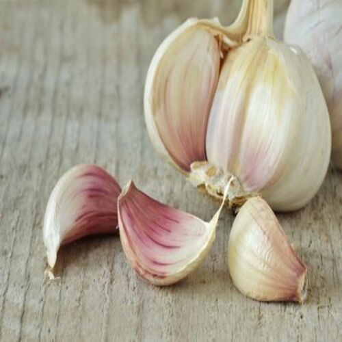 Moisture 100% Rich Natural Taste Healthy Organic White Fresh Garlic