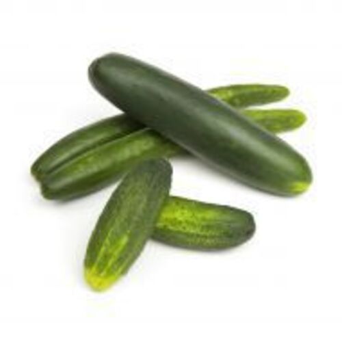 Healthy To Eat Natural Taste Organic Green Fresh Cucumber